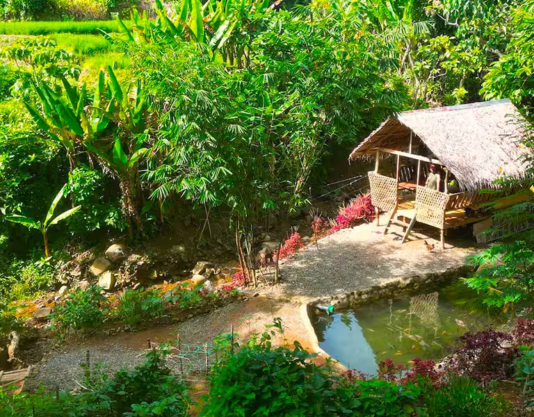 Rizières en terrasses et ferme de l’écolodge L’Astrolabe à Catanduanes