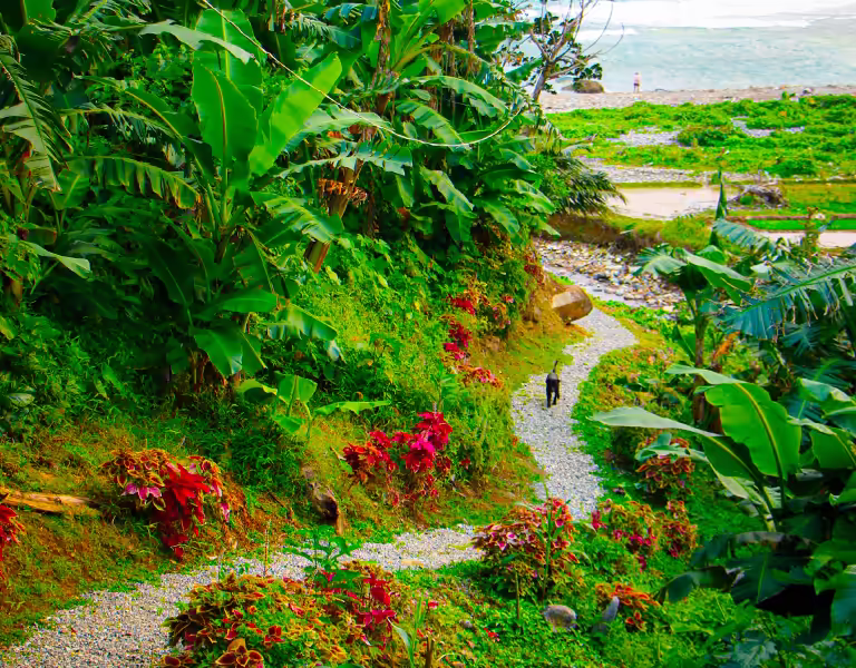 Chemin dans les jardins de L’Astrolabe vers les bungalows La Rivière et l’océan